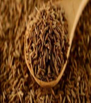 Cumin Seeds Jeera