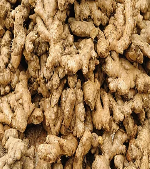 Dried Ginger