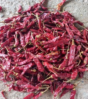 Dry Red Chilli