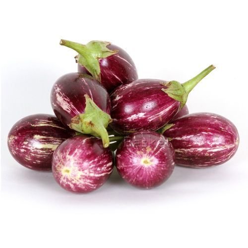 Fresh Eggplant