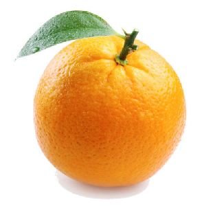 Fresh Orange