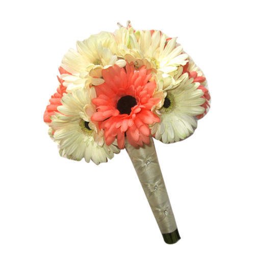 Fresh Gerbera Daisy Flower