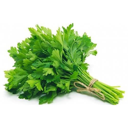 Fresh Parsley Leaves