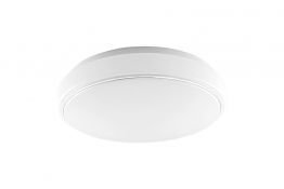 LED Ceiling Light