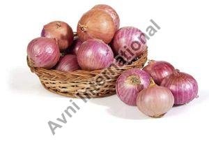Fresh Onion