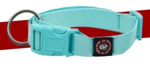 Dog Nylon Clip Collar