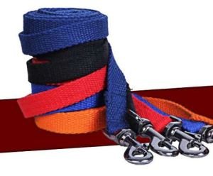 Dog Polyester Spun Leash