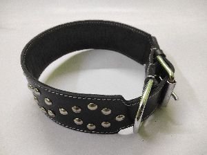 Fancy leather dog collar