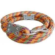 Colored Dog Leash