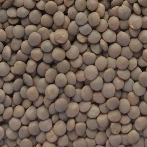 Black Masoor Dal
