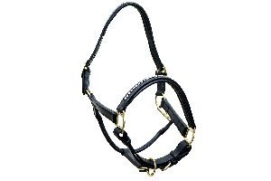 Horse Riding Equipment