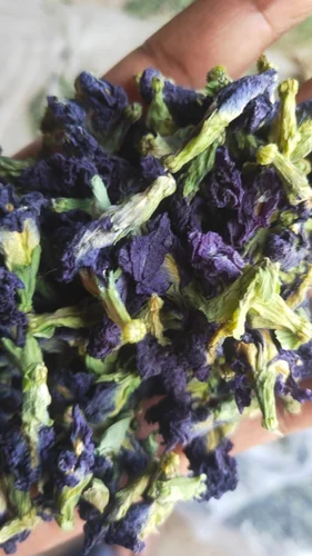 Butterfly Pea Dry Flower