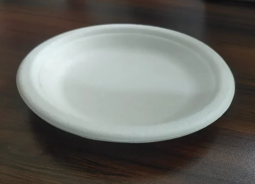 Bagasse Disposable Plate