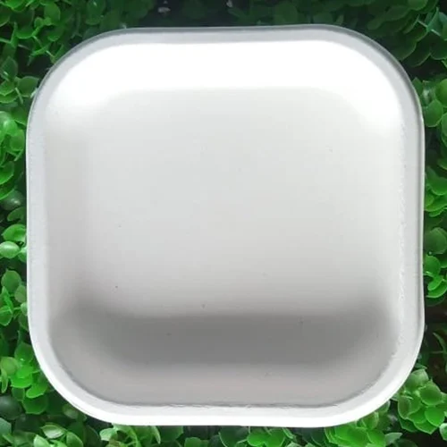Square Bagasse Disposable Plate
