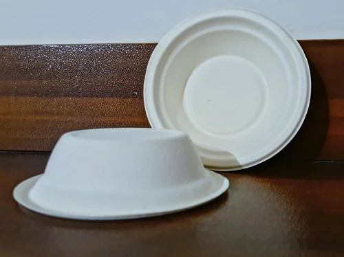 Bagasse Bowl
