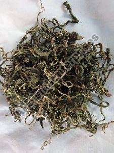 Dried Dandelion Leaves