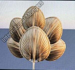 Dry palm leaf arrangement