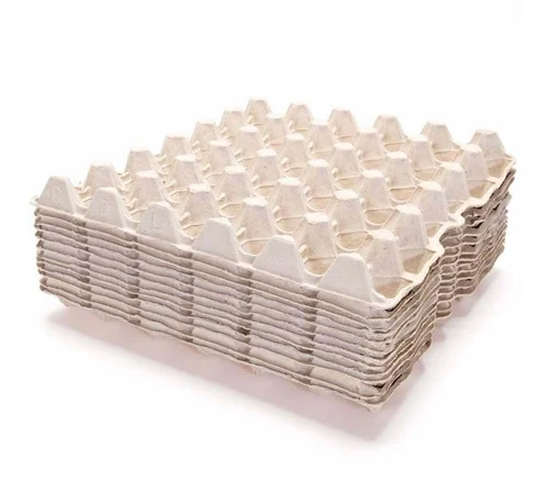 Egg Tray Pulp