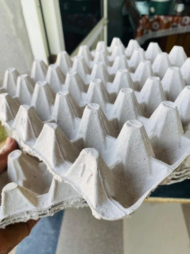 Egg Tray Pulp