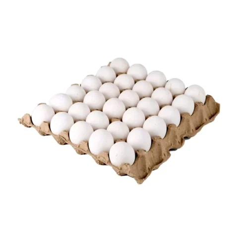 Brown Paper Egg Tray