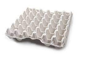 Egg Tray