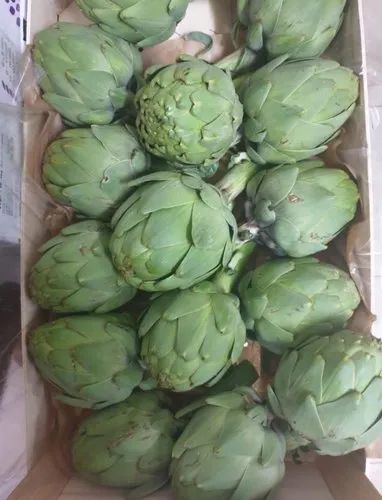 Fresh Artichoke