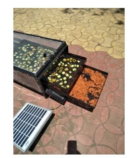 Solar Dryer