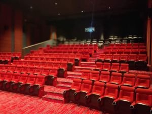 Multiplex Chair