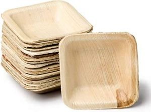 Square Areca Leaf Plates