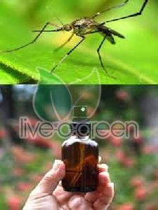Herbal Mosquito Repellent