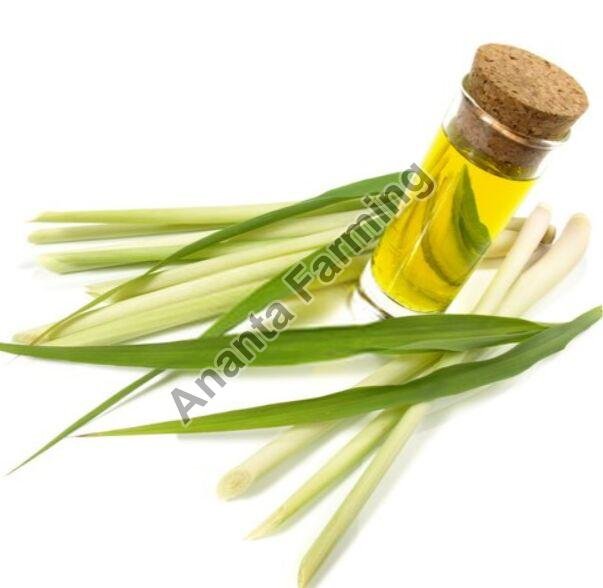 Natural Lemon Grass Oil