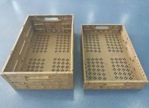 Plastic Display Tray