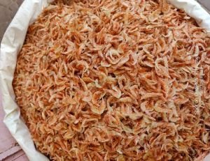 Dried Prawns Shrimp