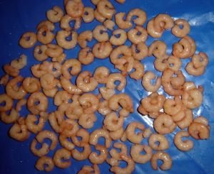 Frozen Cooked Salad Shrimps