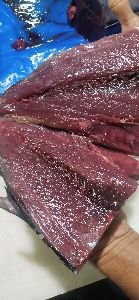 Frozen Skipjack Tuna Fish