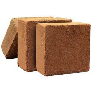 Brown Cocopeat Block