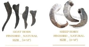 Goat Horn