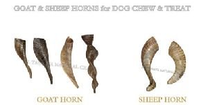 Natural Sheep Horns