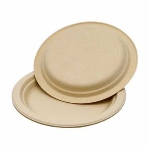 Sugarcane Bagasse Plate