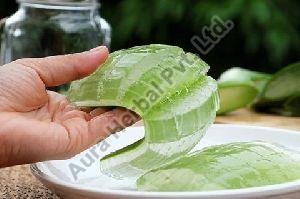 Aloe Vera Body Scrub