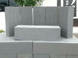 Fly Ash Brick