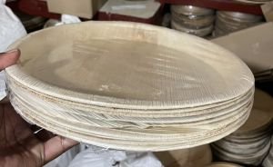 Areca Leaf Plates