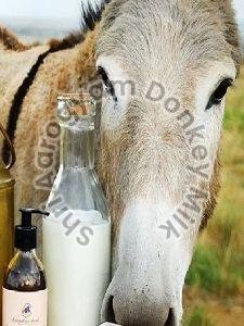 DONKEY MILK