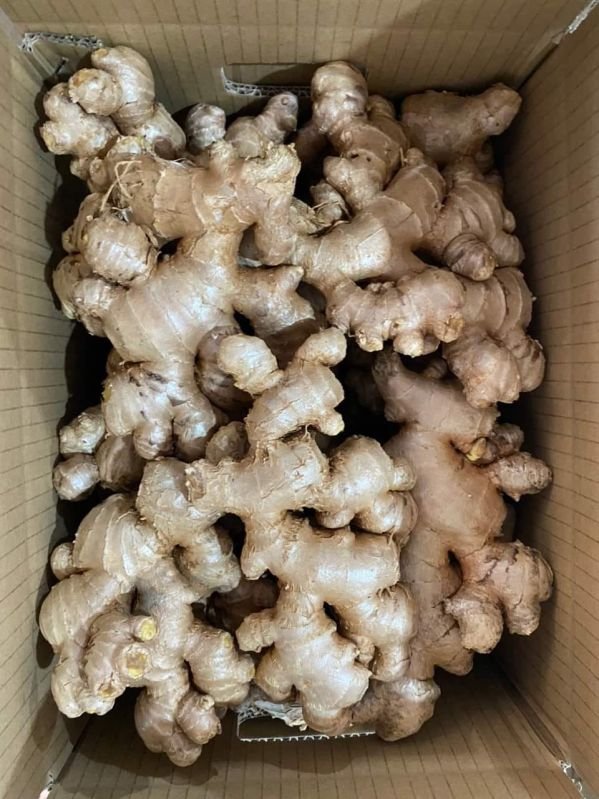Fresh Organic Ginger