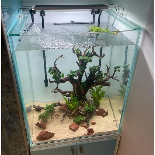glass aquarium