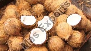 Fresh Coconut