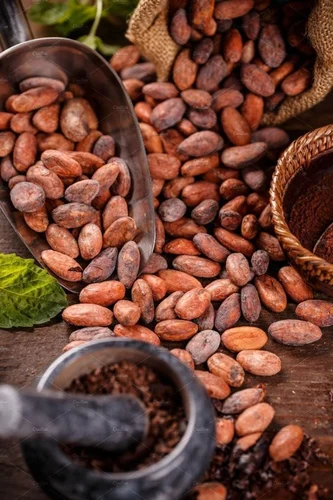 cocoa beans