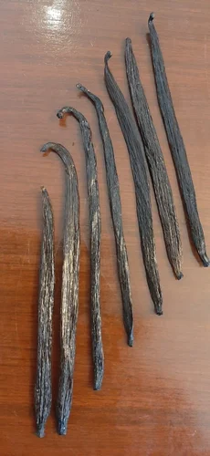 dry vanilla beans