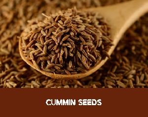 Cumin Seeds