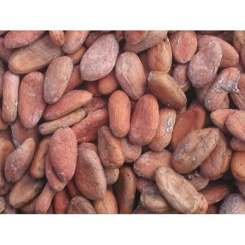raw cocoa beans